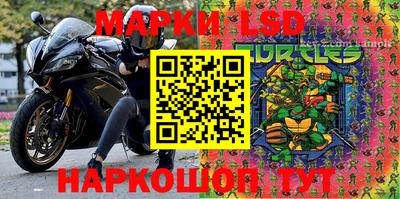 дживик Моздок