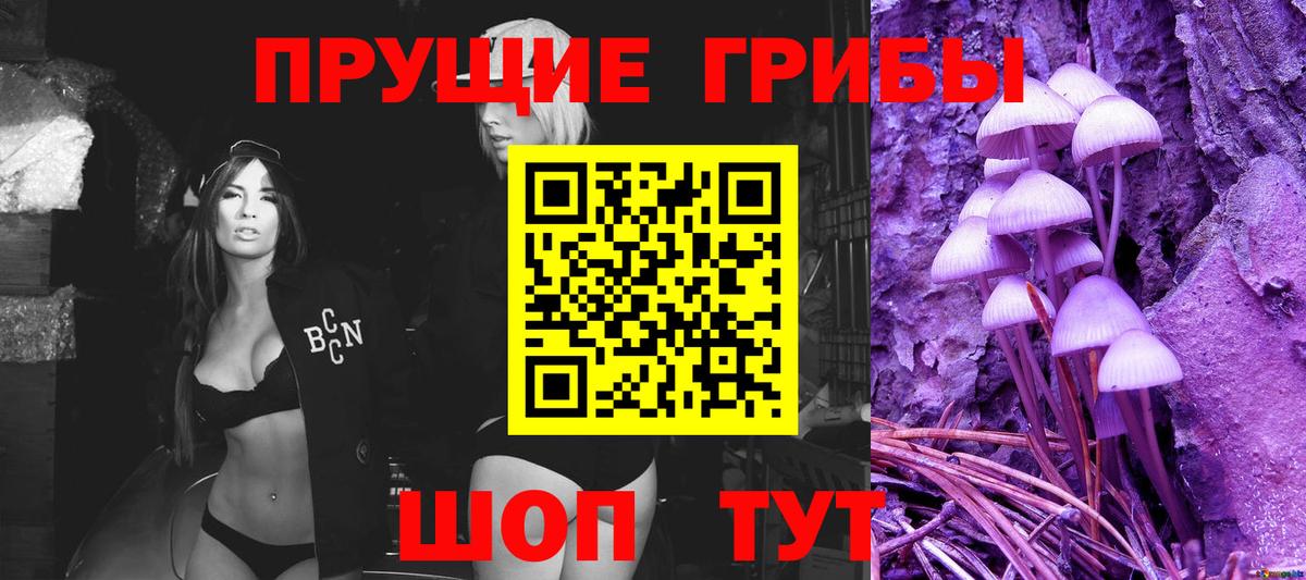 магазин  наркотиков  Галлюциногенные грибы прущие грибы  Вход с VPN  Ачхой-Мартан 
